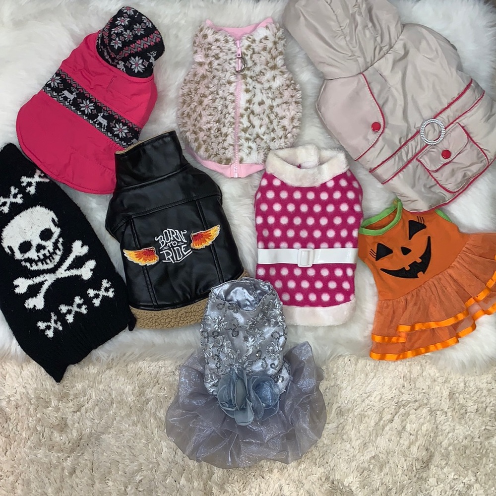 Small Pet Clothing Bundle